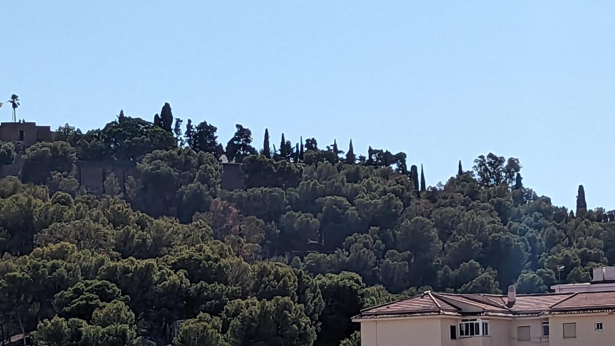 Casa Monte Victoria Malaga Zewnętrze zdjęcie